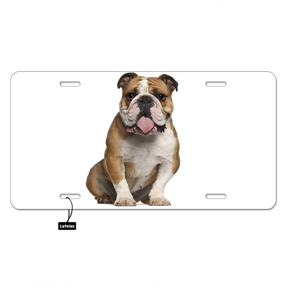 Lefolen Bulldog Front License Plate Aluminum Novelty Funny Bulldog Sitting Against Puppy Dog Mental Vanity Tags 6" X 12" for Men Woman,4 Mounting Holes