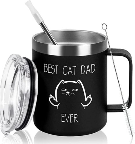 Best Cat Dad Ever Insulated Coffee Mug with Lid, a perfect gift for Indian cat owners.