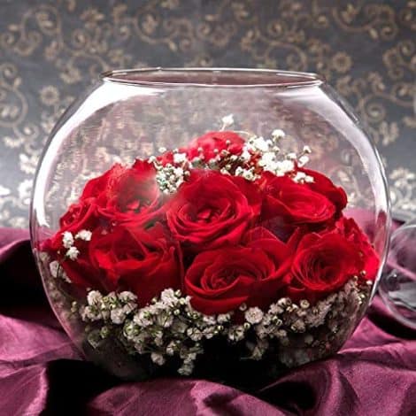 Deliver a Glass Vase of 20 Red Fresh Live Rose Flowers as a Gift on Special Occasions. (Same Day Delivery)