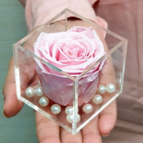 Giftcart’s Eternal Rose, a beautiful, long-lasting preserved flower that stays fresh for 2-4 years. Available in light pink.