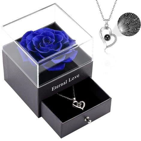 Vanleonet Gift for Her: A birthday gift for women – mom, wife, grandma – a preserved real rose with a heart necklace that says “I love you” in 100 languages.