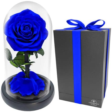 Everlasting Bloom – Genuine Preserved Rose, Ideal for Birthdays, Anniversaries, or Decorating Rooms, Perfect Gifts for Women