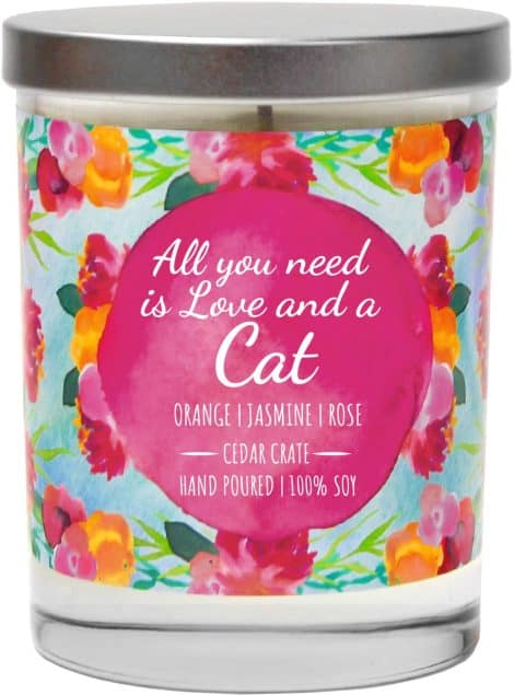 Love and Cat – Orange, Jasmine, Rose – Luxury scented candles for cat lovers. Perfect gift for Indian cat moms.