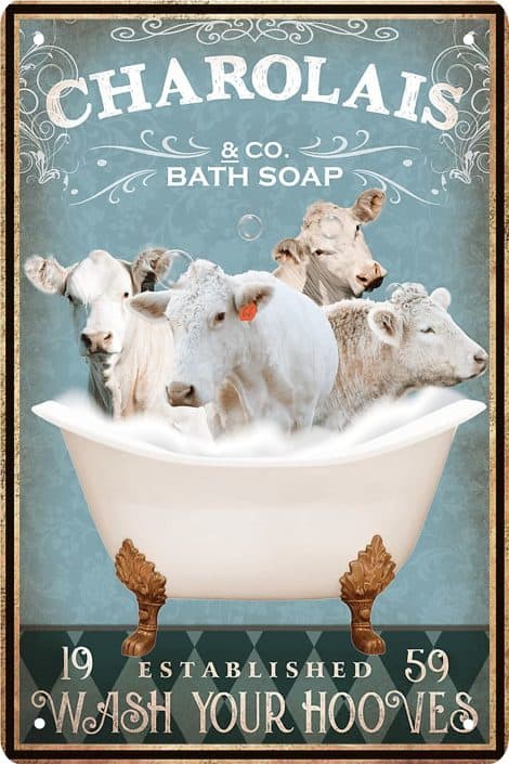 Charolais Cow Retro Wall Art: Funny tin sign with a vintage touch to decorate your bathroom stylishly. Perfect for cow lovers.