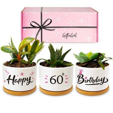 Our Beautifully Boxed Pretty Pots – Special Gift Ideas for 60th Birthday Celebrations or Decor for Women.