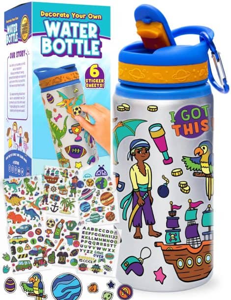 Purple Ladybug Water Bottle Craft Kit – A Cool and Creative Gift with Trendy Stickers for Indian Boys!