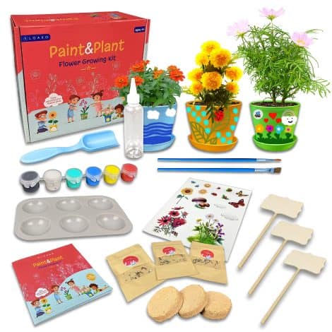 Flower Growing Kit with Paint and Plant, perfect for kids aged 6-12, an arts and craft gift for Indian children.