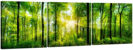 “Nature’s Beauty Canvas Wall Art – 3 Panel Tree Print, 24×72 inch Painting for Indian Homes, Perfect Gift”